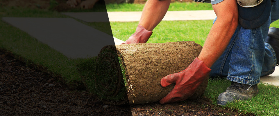 Wanamingo Landscapers